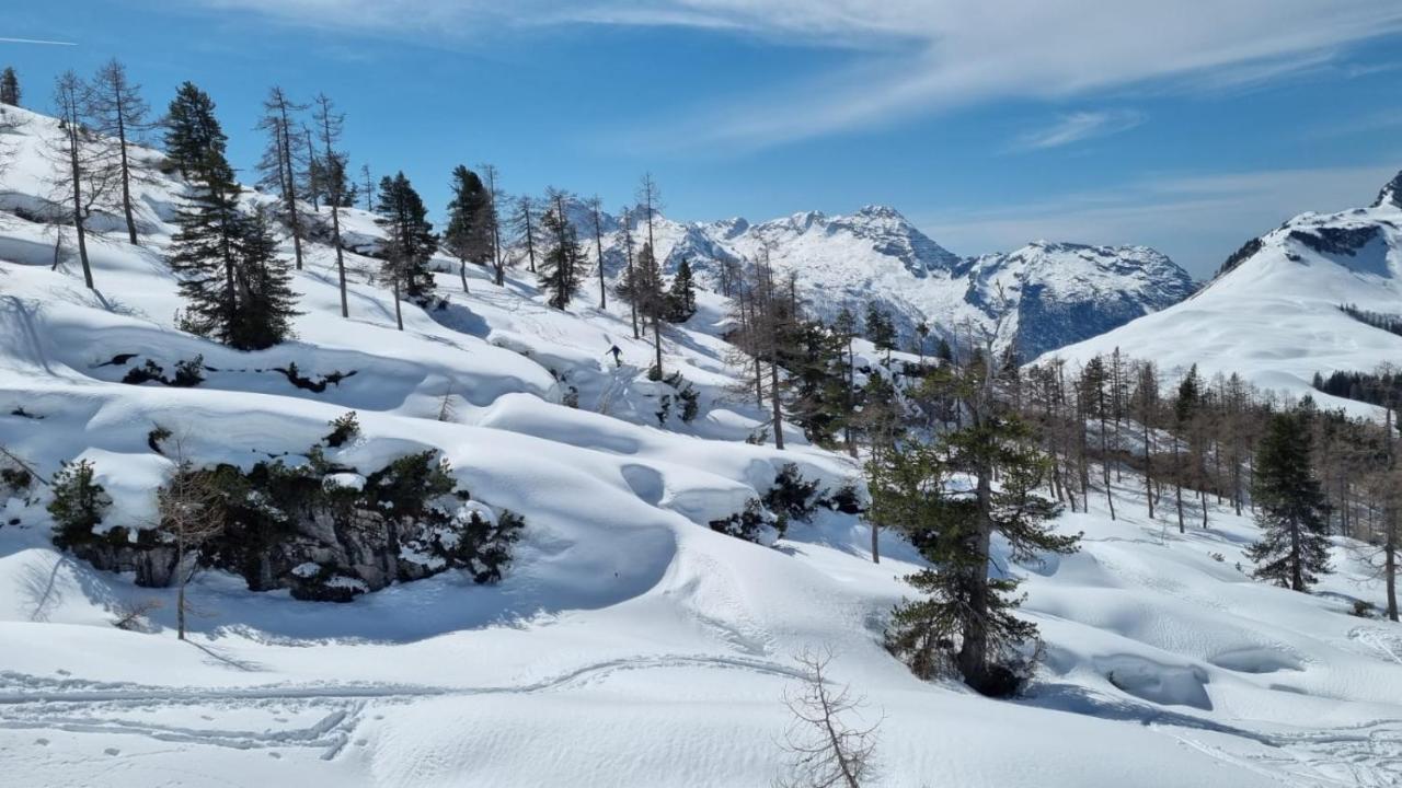 Pension Erlhof Saalfelden Esterno foto