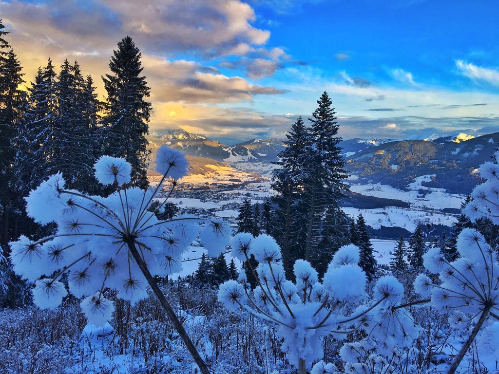 Pension Erlhof Saalfelden Esterno foto